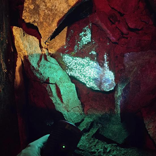 Шрёкингеритовая минерализация в заброшенной урановом руднике