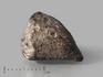 Метеорит NWA 869, 1,5-2 см (3-4 г), 10-110/16, фото 1