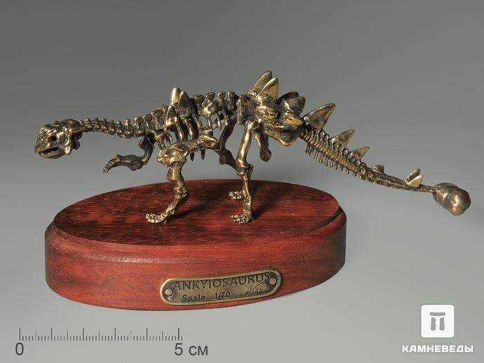 Модель скелета динозавра ANKYIOSAURUS, 4248, фото 2