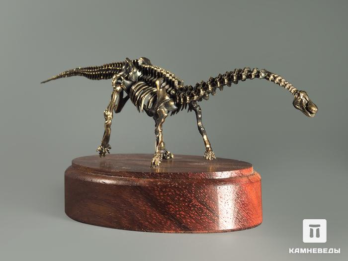 Модель скелета динозавра DIPLODOCUS, 4242, фото 4