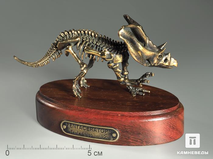 Модель скелета динозавра PENTACERATOPS, 4253, фото 1