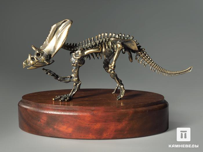 Модель скелета динозавра PENTACERATOPS, 4253, фото 2