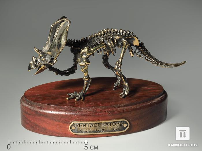 Модель скелета динозавра PENTACERATOPS, 4253, фото 5