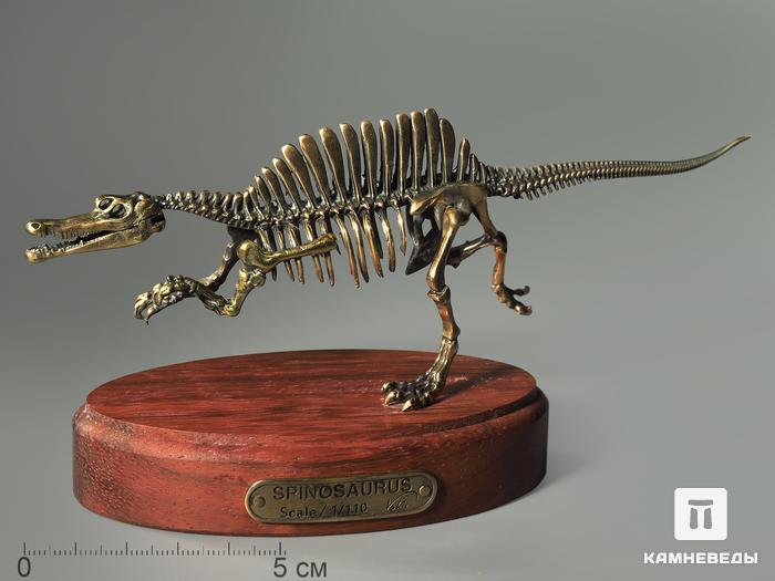 Модель скелета динозавра SPINOSAURUS, 4254, фото 2