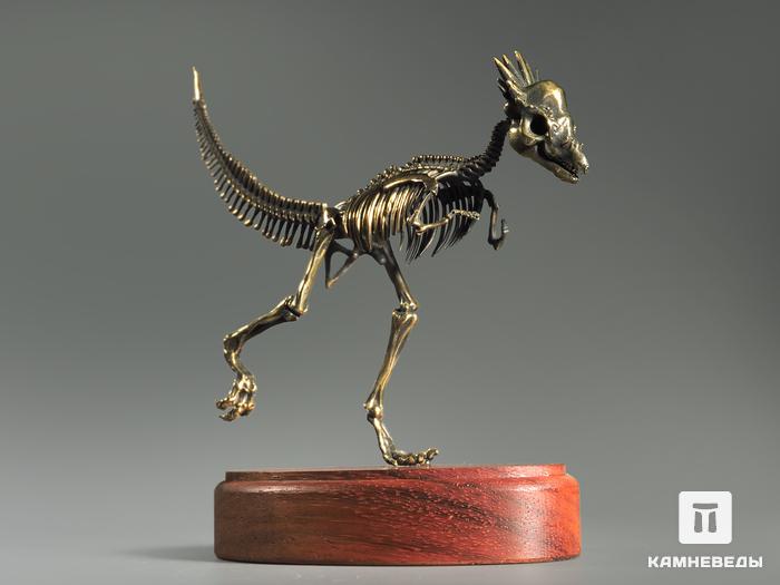 Модель скелета динозавра PACHYCEPHALOSAURUS, 4255, фото 3