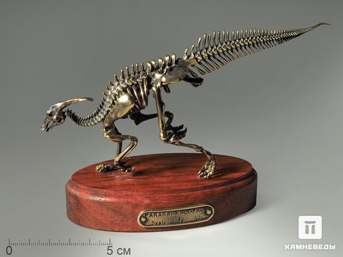 Модель скелета динозавра PARASAUROLOPHUS, 4256, фото 2