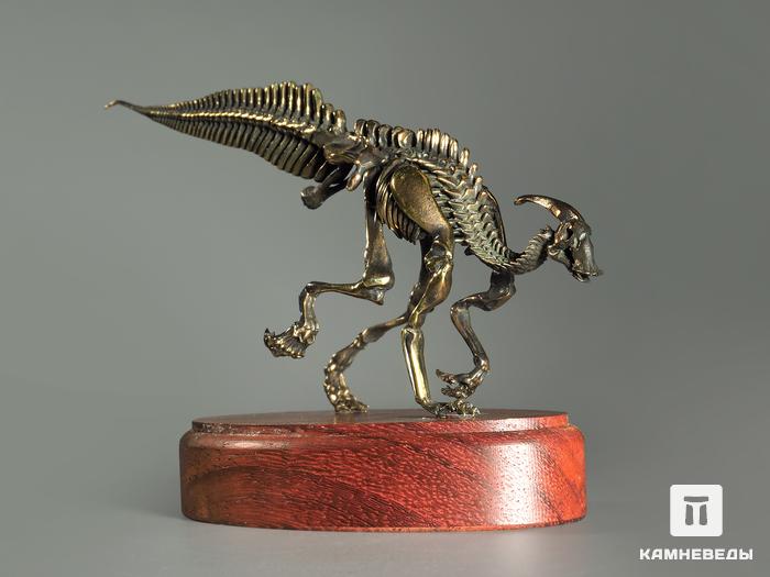 Модель скелета динозавра PARASAUROLOPHUS, 4256, фото 4