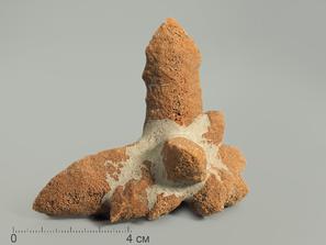 Глендонит (беломорская рогулька), 7,5-9 см