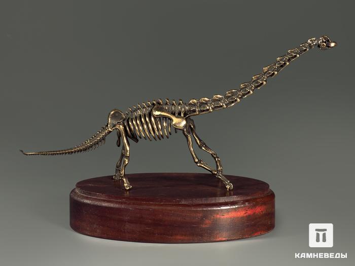 Модель скелета динозавра BRACHIOSAURUS, 4243, фото 6