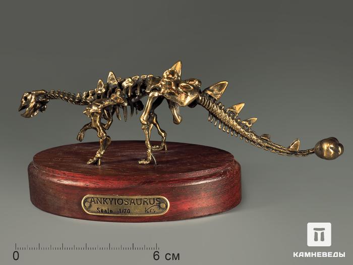 Модель скелета динозавра ANKYIOSAURUS, 4248, фото 1