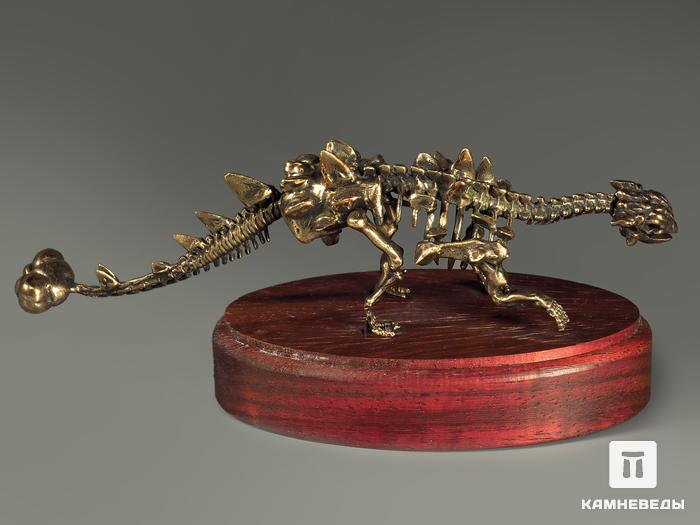 Модель скелета динозавра ANKYIOSAURUS, 4248, фото 6