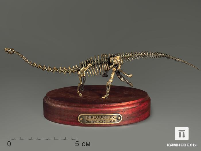 Модель скелета динозавра DIPLODOCUS, 5234, фото 1