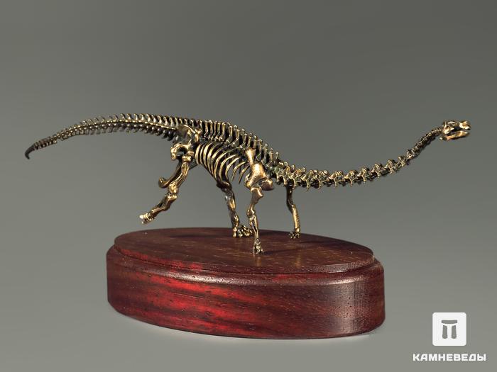 Модель скелета динозавра DIPLODOCUS, 5234, фото 3