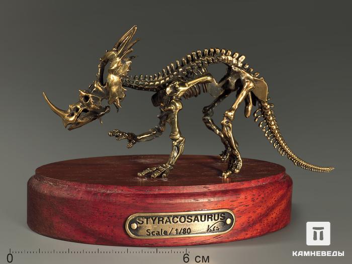 Модель скелета динозавра STYRACOSAURUS, 5231, фото 1