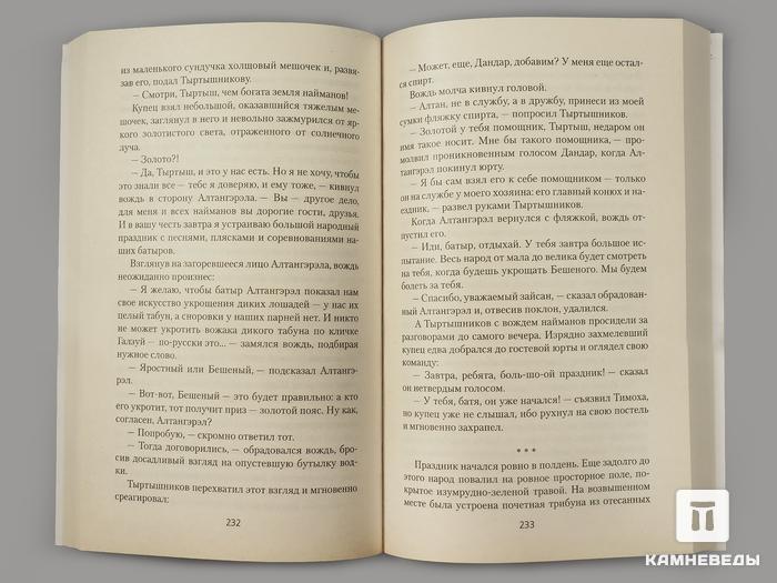 Книга: Липовский Ю.О. «Тайна гуннского камня», 50-49, фото 2