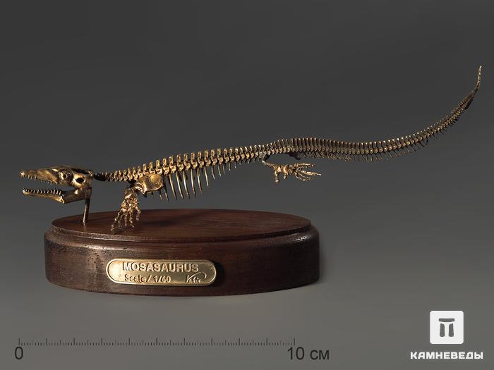 Модель скелета мозазавра MOSASAURUS, 5230, фото 1