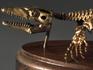 Модель скелета мозазавра MOSASAURUS, 5230, фото 4
