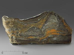 Строматолиты Gaia irkuskanica из Бакала, 17,7х8,9х2,3 см