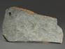 Строматолиты Gaya irkuskanica из Бакала, 18,2х11,1х2,5 см, 12118, фото 4