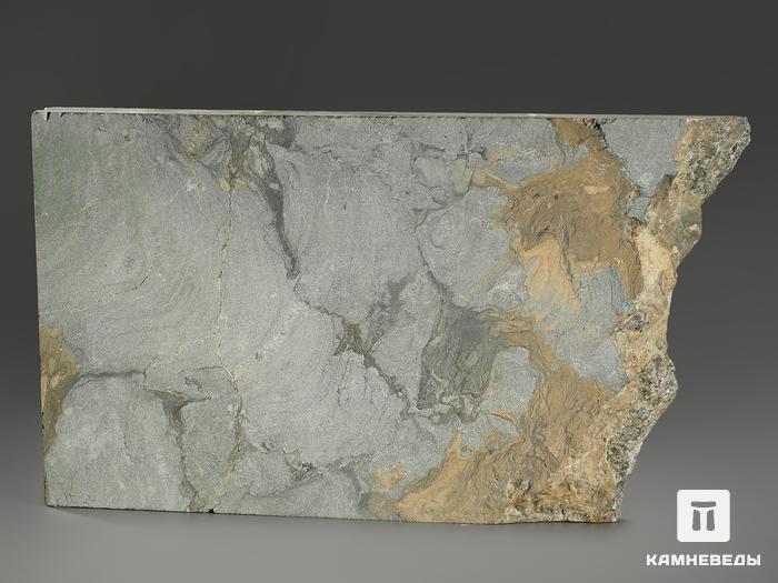 Строматолиты Collenia frequens из Бакала, 21,6х12,1х1,9 см, 12126, фото 2