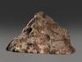 Строматолиты Inzeria tjomusi с реки Лемеза, 16,2х9,2х5,8 см, 12107, фото 2