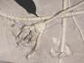 Ископаемая морская лилия на плите с брахиоподами, 36х27х5 см, 14326, фото 2