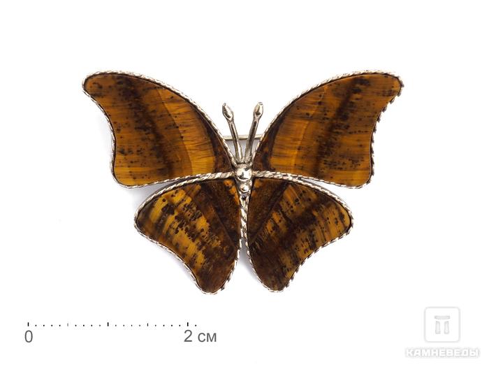 Брошь «Бабочка» с тигровым глазом, 3,9х3 см, 17804, фото 1