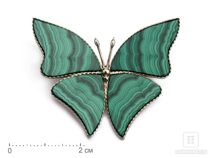 Брошь «Бабочка» с малахитом, 4,8х4,1х0,2 см, 17822, фото 1
