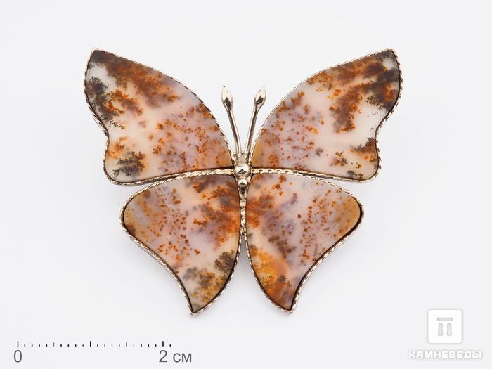 Брошь «Бабочка» с дендритовым агатом, 4,2х3,6х0,2 см, 9698, фото 1