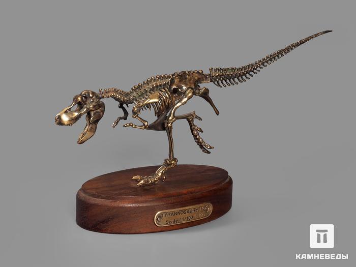Модель скелета динозавра TYRANNOSAURUS, 4245, фото 5