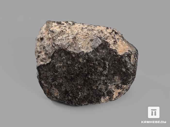 Метеорит NWA 869, 2-3 см (13-14 г), 19826, фото 2