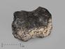 Метеорит NWA 869, 2-3 см (13-14 г), 19826, фото 1