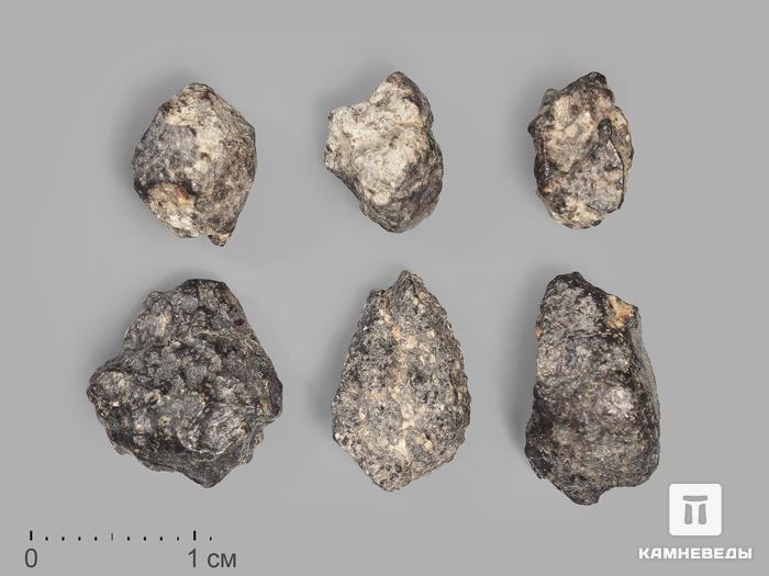 Метеорит NWA 869, 1-1,5 см (0,5-1 г), 19823, фото 1