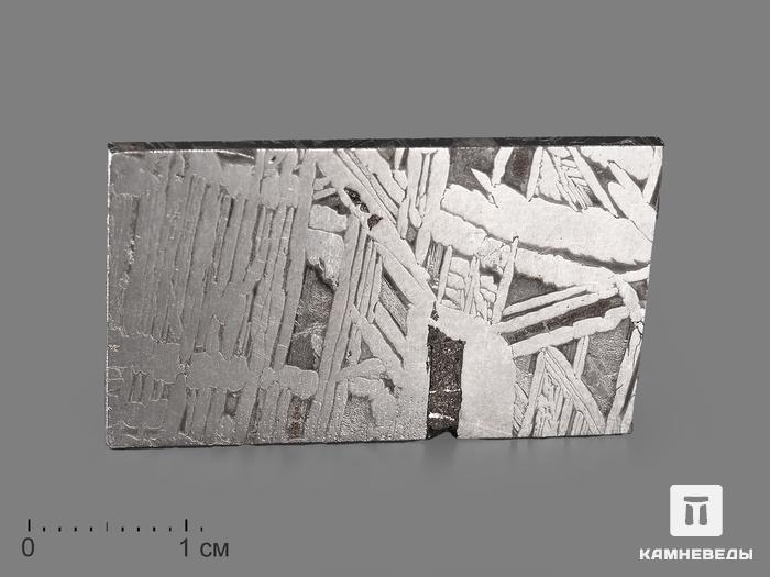Метеорит Aletai в пластиковом боксе, 3,5х2х0,1 см (8,7 г), 19855, фото 1