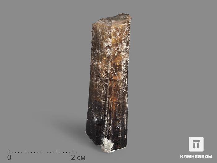 Турмалин, кристалл 4,5х1,5х1,3 см, 19973, фото 1