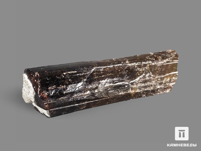 Турмалин, кристалл 4,5х1,5х1,3 см, 19973, фото 2
