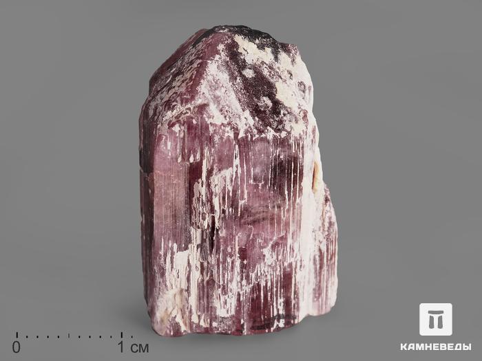 Турмалин (рубеллит), кристалл 3х2х1,5 см, 19961, фото 1