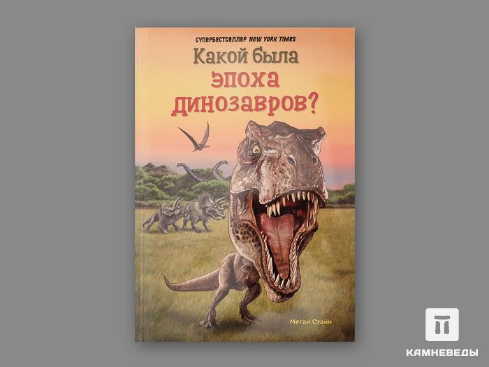 Книга: М.Стайн «Какой была эпоха динозавров?», 21636, фото 1