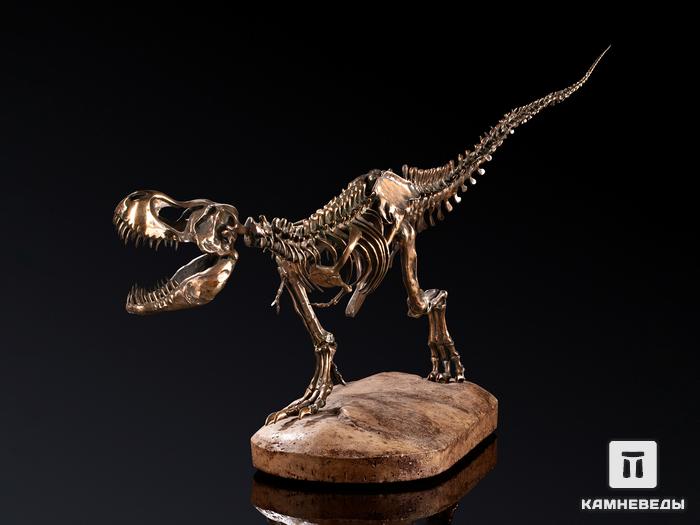 Модель скелета динозавра TYRANNOSAURUS, 4249, фото 2
