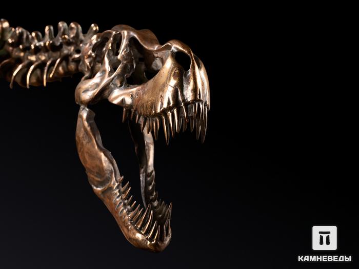 Модель скелета динозавра TYRANNOSAURUS, 4249, фото 4