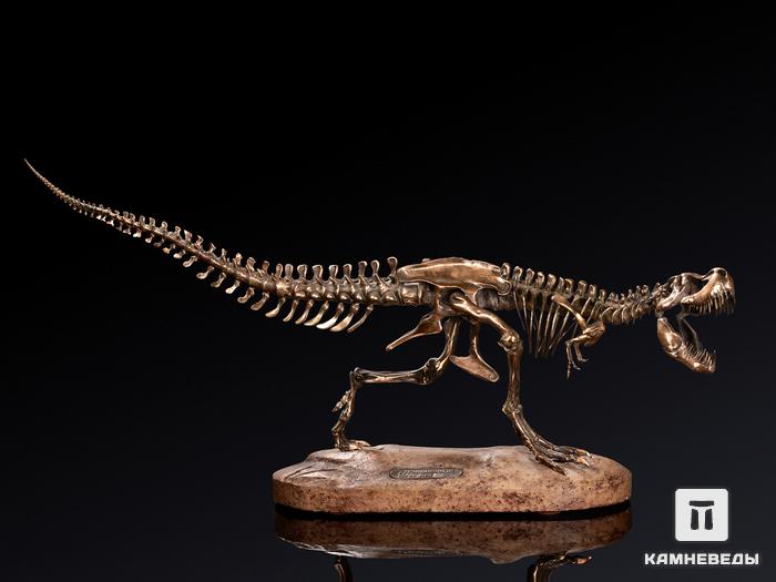 Модель скелета динозавра TYRANNOSAURUS, 4249, фото 1