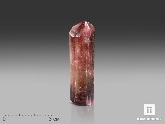 Турмалин (рубеллит), кристалл 6,2х1,8х1,7 см, 22996, фото 1