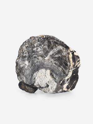 Угольная почка (Coal boll), 11,7х10,8х7,6 см