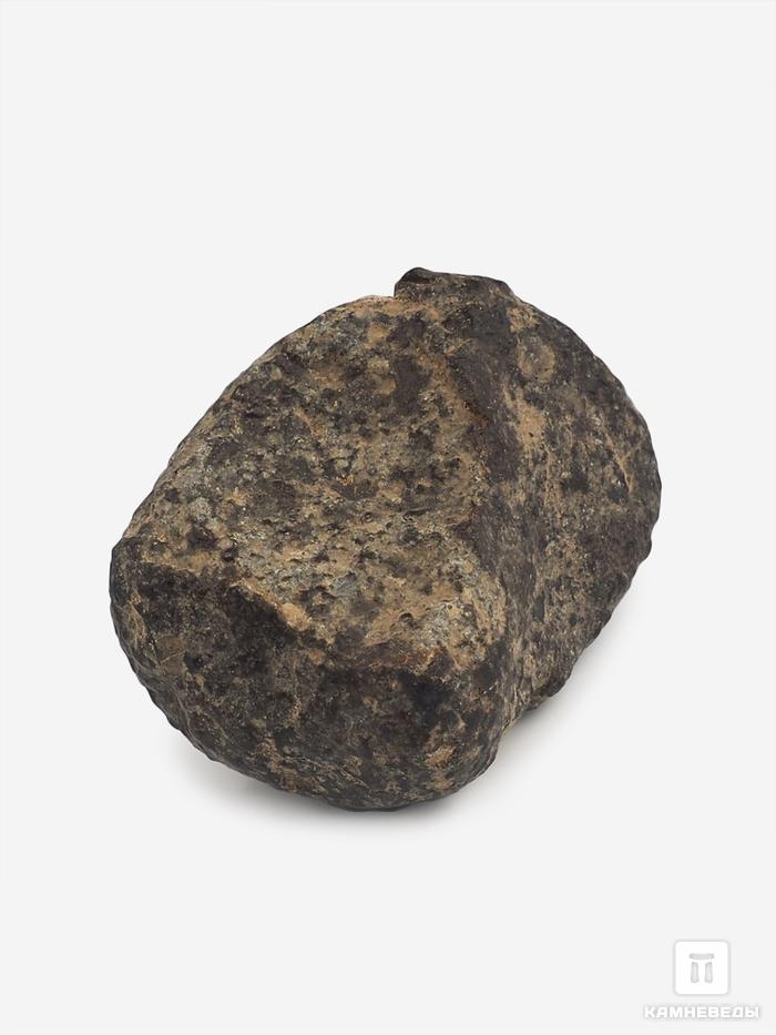 Метеорит NWA 869, 2-3 см (14-15 г), 10-110/8, фото 1