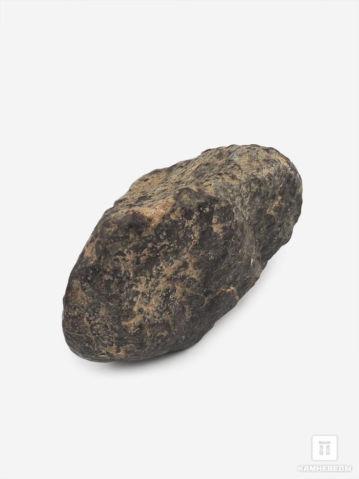 Метеорит NWA 869, 2-3 см (14-15 г), 10-110/8, фото 2