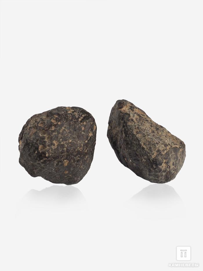 Метеорит NWA 869, 2-3 см (14-15 г), 10-110/8, фото 3
