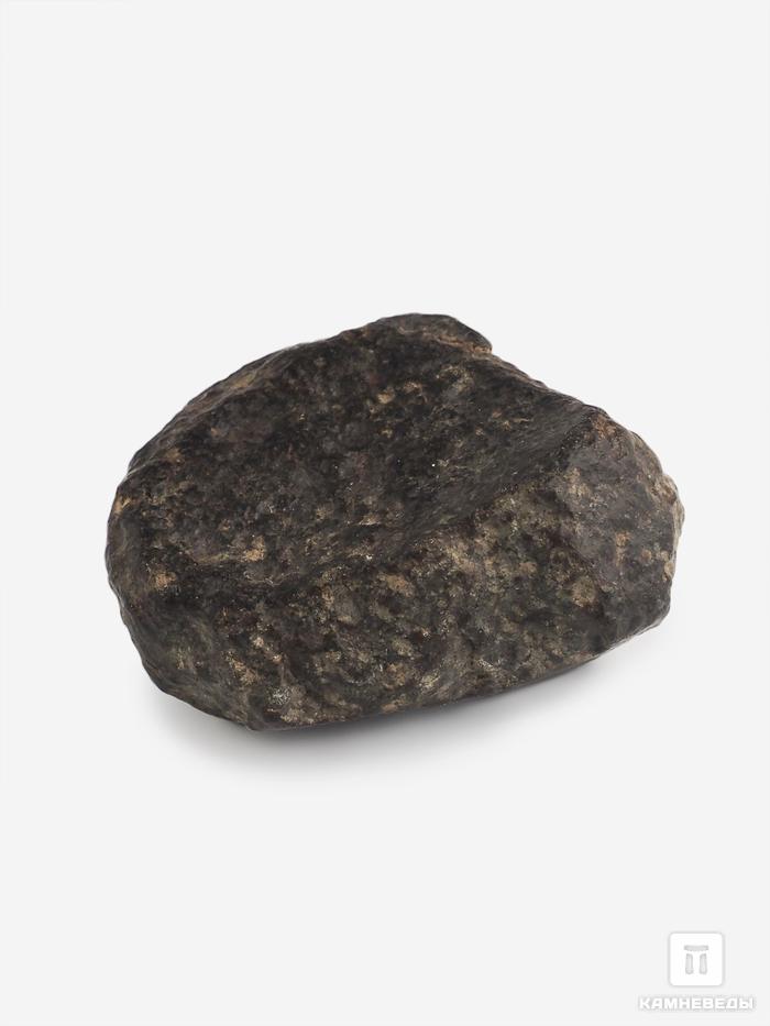 Метеорит NWA 869, 3,9х3,5х2,2 см (47,6 г), 25702, фото 2