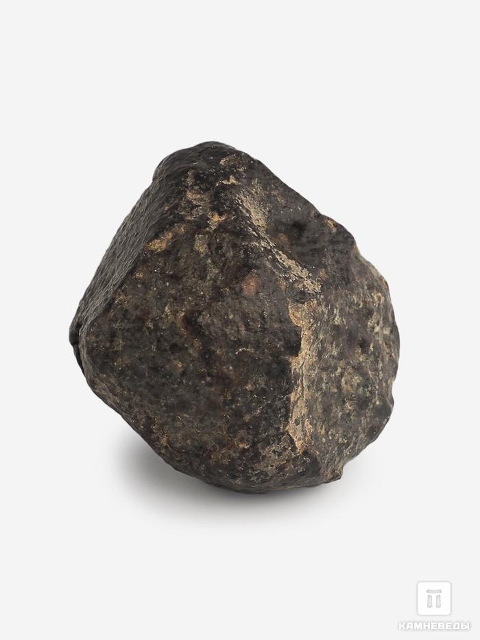 Метеорит NWA 869, 3,1х3х2,5 см (35,6 г), 10-110/15, фото 1