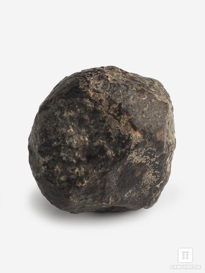 Метеорит NWA 869, 3,1х3х2,5 см (35,6 г), 10-110/15, фото 2