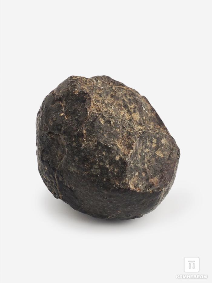 Метеорит NWA 869, 2,6х2,5х2 (23 г), 10-110/11, фото 1